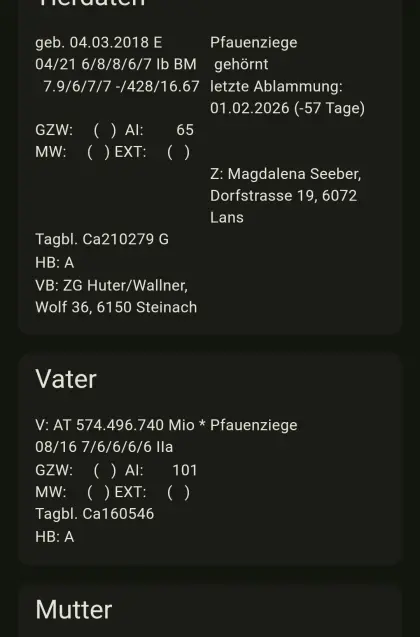 HB Pfauenziegen Bockmutter