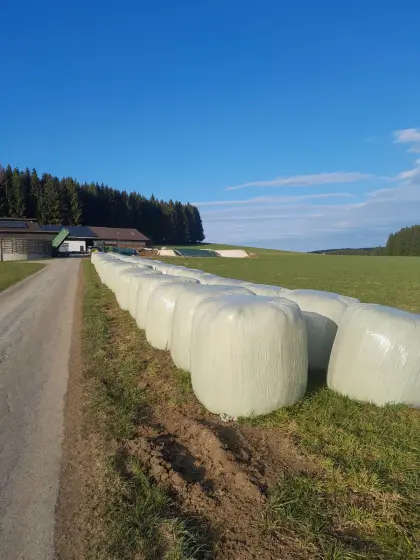 Grassilage Rundballen