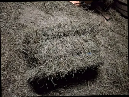 Heu nahe Deutschlandsberg