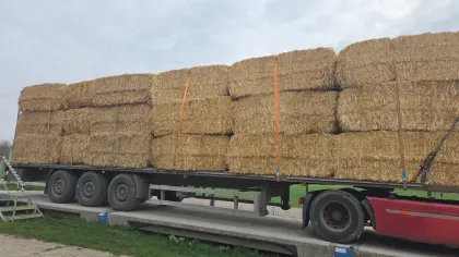 Hochwertiges geschnittenes Stroh 5-10 cm Länge inkl. Transport
