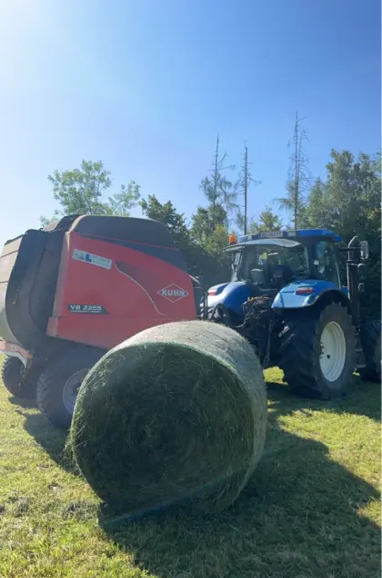 Siloballen zu verkaufen