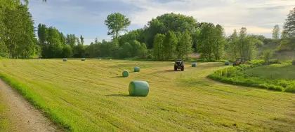 Gärheuballen, Siloballen