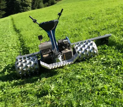 Brielmaier Trittbrett