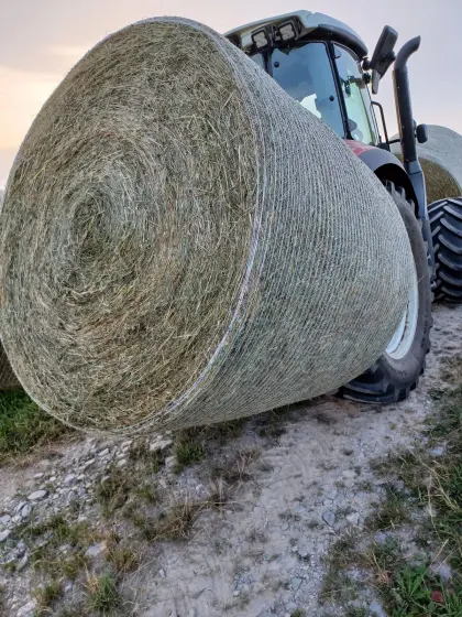 Pferdeheu 1. Schnitt