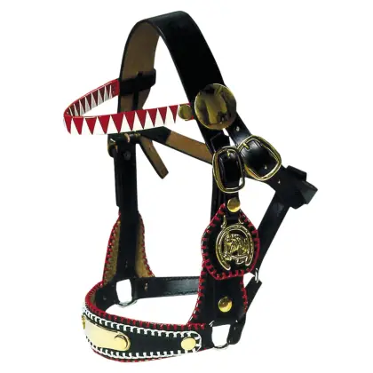 Zierhalfter Prunkhalfter Showzaum Fahrhalfter Messing