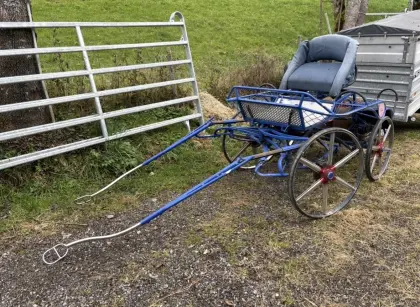 Marathonwagen, Kutsche