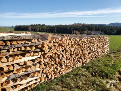 Eiche-Brennholz, Eiche, 100 cm, 50 cm, 33 cm, 25 cm