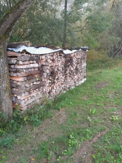 Brennholz