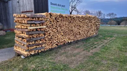 Brennholz