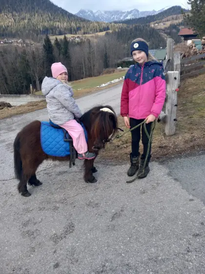 2 brave Ponys nur an Bestplatz abzugeben!