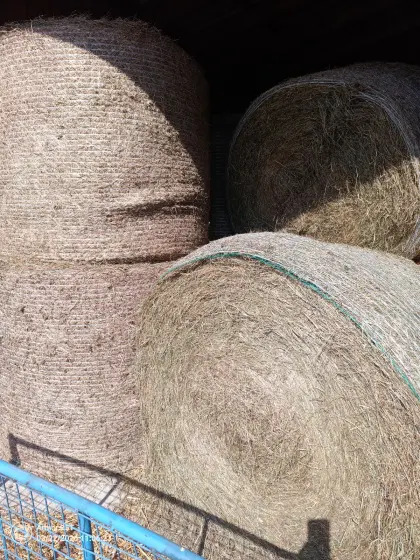 Heuballen 1. und 2. Schnitt, Pferdeheu