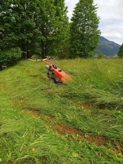 Motormäher Reform 116