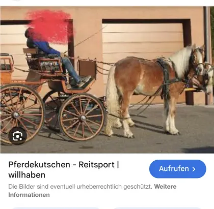 Pferdekutsche