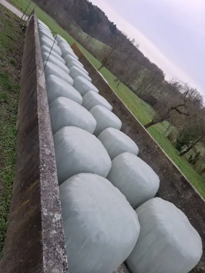 Verkaufe 15 Siloballen