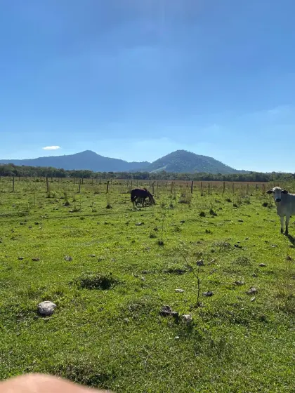 Vielseitiges Agrar- und Viehzucht-Investment. 900 Hektar