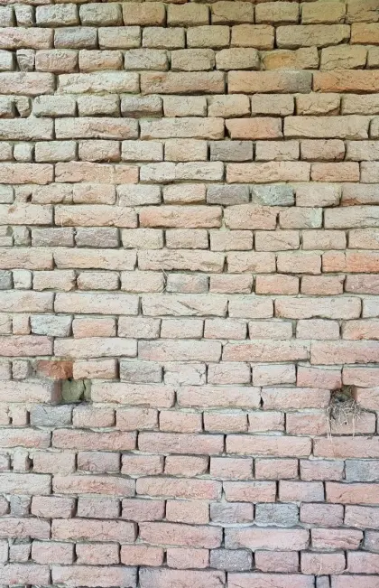 Mauerziegel