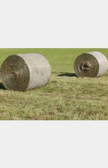 Heu 1. Schnitt für Pferde