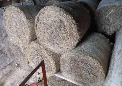 Heu Rundballen 130 cm Dm. ca. 250 kg € 0,1/kg