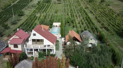 Anwesen mit Weinberg und Wohnhaus in Vinica / Slowakei