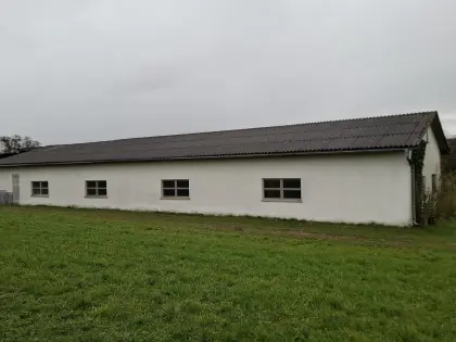 Welleternit