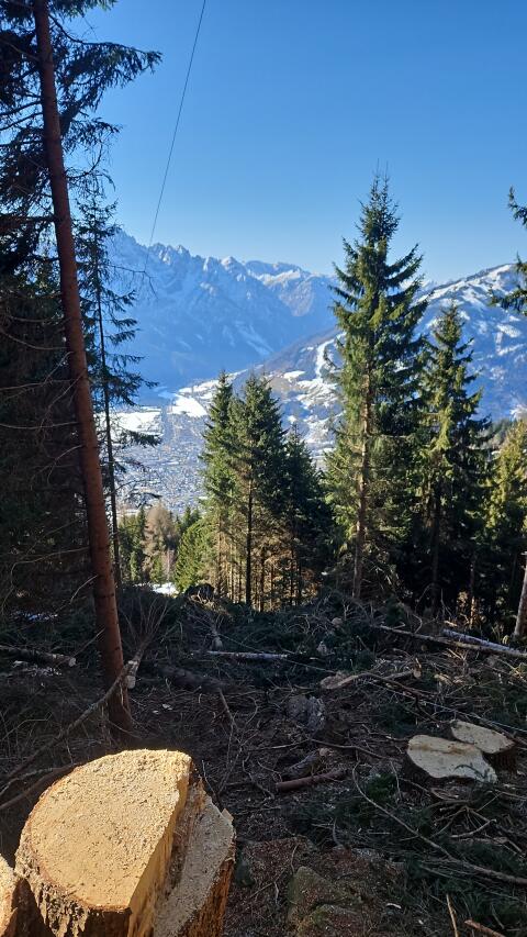 Landwirtschaft