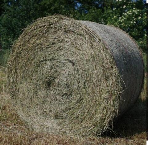 Heuballen Rundballen
