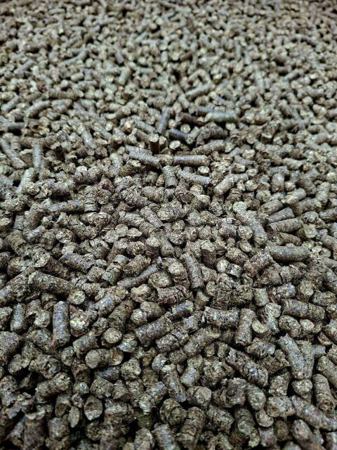 Waldboden - Pellets