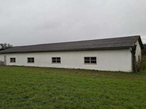 Welleternit