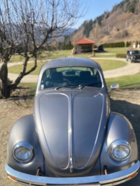 VW-Käfer