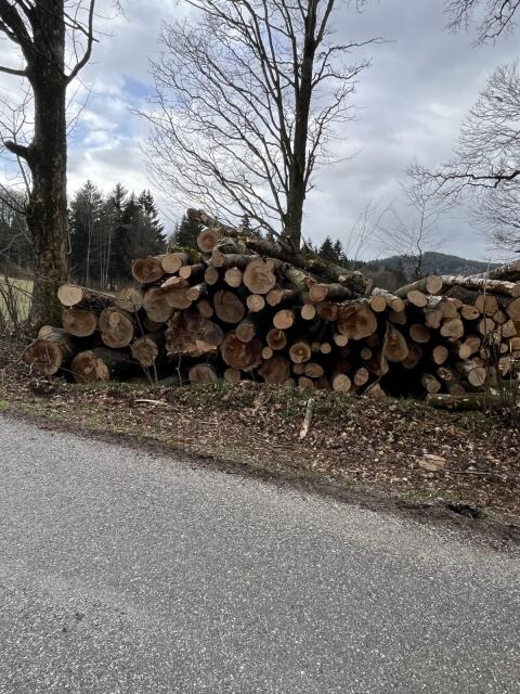 Brennholz hart