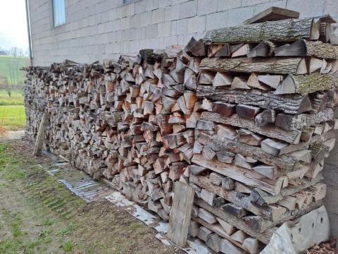 Brennholz Scheiter Buche/Eiche