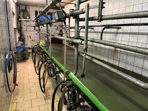 4er Fischgräten Melkstand mit Kraftfutterstation