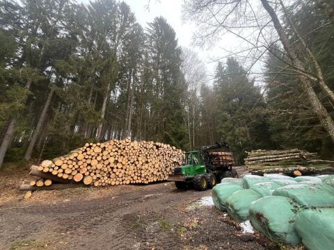 Holzbringung mittels Forwarder