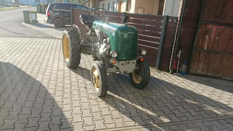 Steyr T80s Bj. 1951 Seriennummer xxxxx3