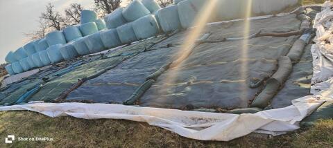 Silage lose vom Fahrsilo