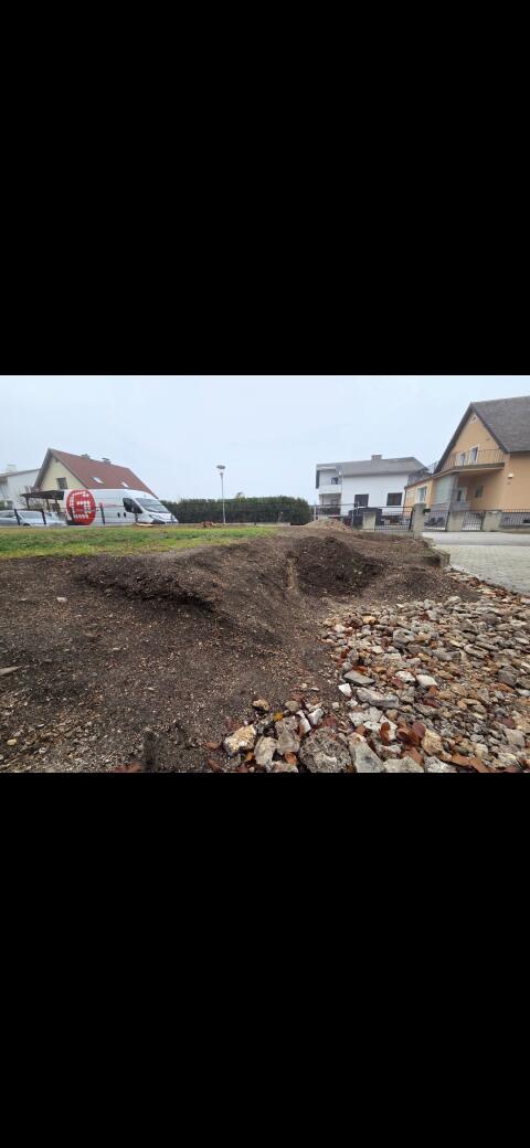 Erde Humus Gartenerde