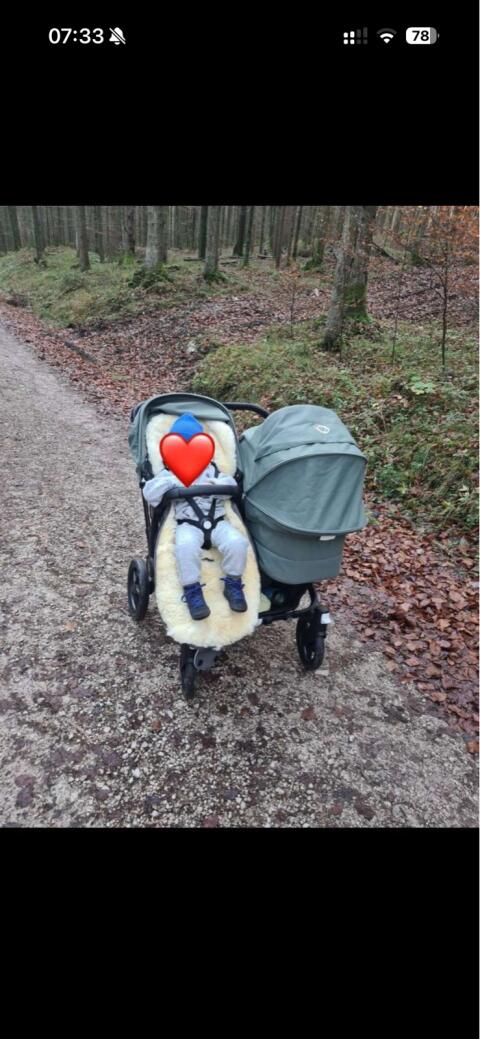 Geschwisterwagen Bugaboo Donkey 5