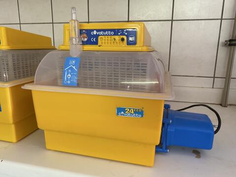 Inkubator/Brutapparat