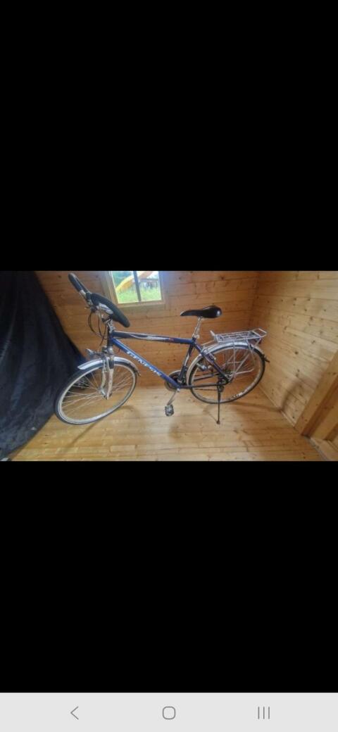 Citybike Herren