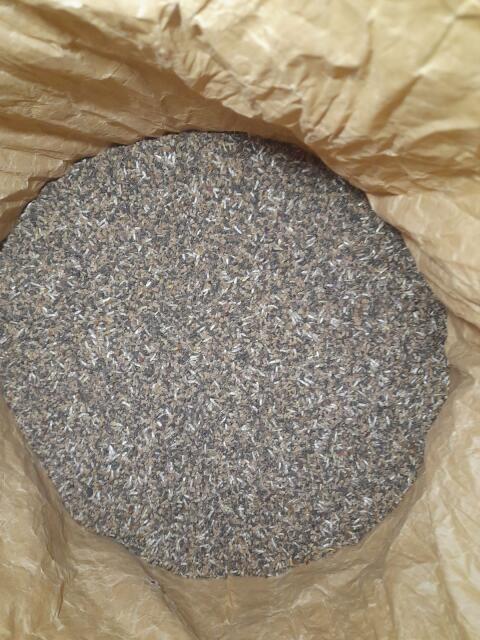 Phacelia mit Kornblume