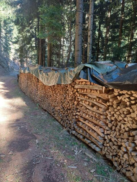 Brennholz