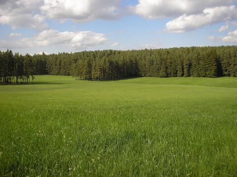 Suche Grünfläche zum Pachten, Raum Kärnten.