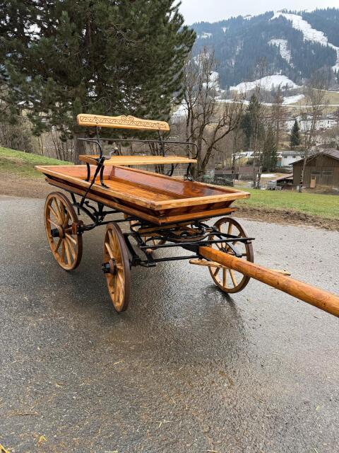 Bergwagerl