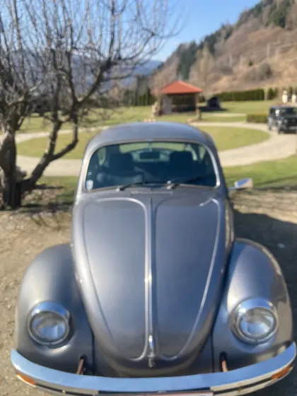 VW-Käfer