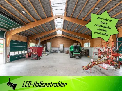 LED-Hallenstrahler 300 - 1.000 Watt LED 230V