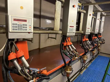 System Happel Fischgrätenmelkstand