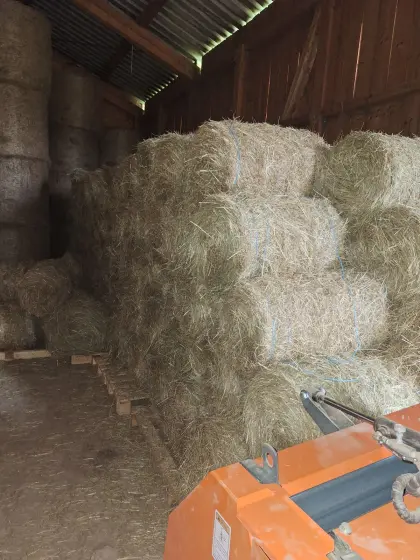 Heu Kleinballen 1. Schnitt und 2. Schnitt