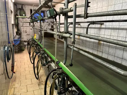 4er Fischgräten Melkstand mit Kraftfutterstation