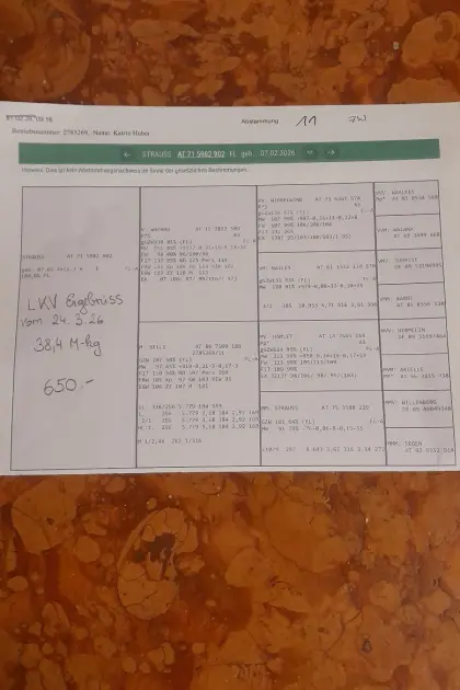 Verkaufe Fleckvieh Zuchtkalb