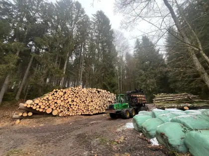 Holzbringung mittels Forwarder